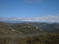 DaleyRanch-11NOV01-11-CrestSingletrack-2.jpg (76757 bytes)