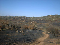 DaleyRanch-22NOV03-FireDamage-08.jpg (64713 bytes)