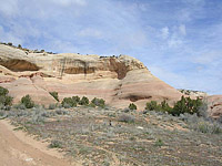 Picture of Rabbit Valley near Loma, CO