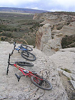 Picture of Rabbit Valley near Loma, CO