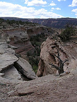 Pictures of Kokopellis area of Fruita