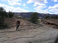 Pictures of Kokopellis area of Fruita