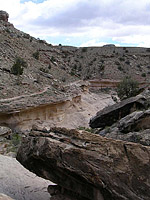 Pictures of Kokopellis area of Fruita