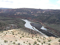 Pictures of Kokopellis area of Fruita