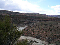 Pictures of Kokopellis area of Fruita