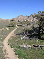 Bookcliffs in Fruita Pciture