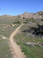 Bookcliffs in Fruita Pciture