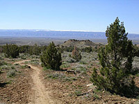 Bookcliffs in Fruita Pciture