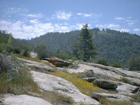 Idyllwild-13JUN03-01.JPG (103039 bytes)