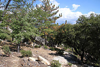 Idyllwild