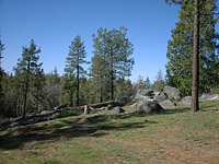 Idyllwild-22MAR03-02.JPG (85516 bytes)