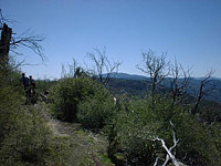 Idyllwild March 2003