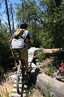 images/Trails/Idyllwild/Idyllwild-5JUN05-Pub-18.jpg