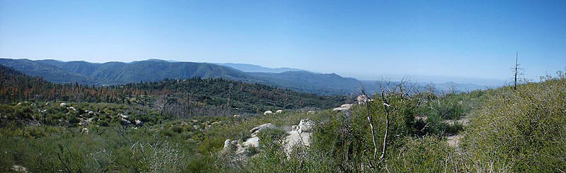 Idyllwild-Pan1.jpg (177681 bytes)