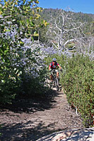 images/Trails/Idyllwild/IdyllwildMore/2006/AlvinMeadows-20MAY06-88.jpg