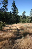 images/Trails/Idyllwild/IdyllwildMore/Idyllwild-03JUL05-01.jpg