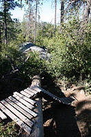 images/Trails/Idyllwild/IdyllwildMore/Idyllwild-03JUL05-17.jpg