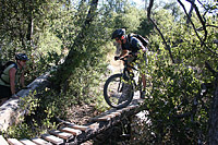 images/Trails/Idyllwild/IdyllwildMore/Idyllwild-03JUL05-23.jpg