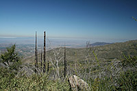 images/Trails/Idyllwild/IdyllwildMore/Idyllwild-03JUL05-39.jpg