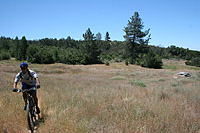 images/Trails/Idyllwild/IdyllwildMore/Idyllwild-03JUL05-53.jpg