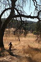 Laguna Mountains Camping in Sept 2007