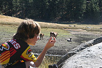 Laguna Mountains Camping in Sept 2007