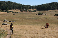 Laguna Mountains Camping in Sept 2007