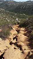 Warren Canyon Trail