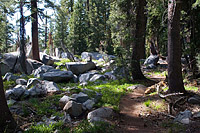 images/Trails/Norcal07/Norcal07-HITG-17JUL07-40.jpg