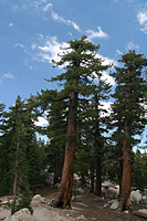 images/Trails/Norcal07/Norcal07-Tahoe-18JUL07-01.jpg