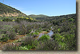 The Otay Mountain Loop