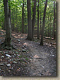 Wissahickon Trail System