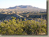 Palm Canyon
