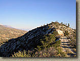 Palm Canyon