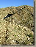 Palm Canyon