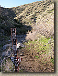 Palm Canyon