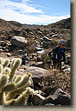 Palm Canyon