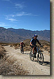 Palm Canyon