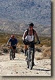 Palm Canyon