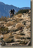 Palm Canyon