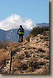 Palm Canyon