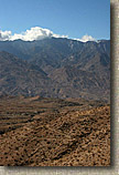 Palm Canyon