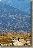 Palm Canyon