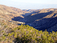 Palm Canyon Pinyon Flats Loop