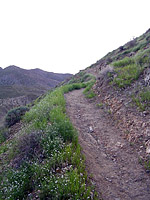 GoatTrails-5FEB05-10.jpg (141546 bytes)
