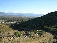 PalmSpringsGoatTrails-15JAN05-02.jpg (130104 bytes)