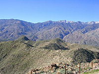 PalmSpringsGoatTrails-15JAN05-ClaraBurgess-15.jpg (150989 bytes)