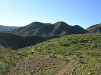 PalmSpringsGoatTrails-15JAN05-EagleCanyon-02.jpg (136540 bytes)
