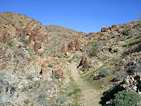 PalmSpringsGoatTrails-15JAN05-EagleCanyon-McManus-01.jpg (180309 bytes)