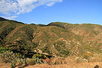 High Point Truck Trail on Palomar Mountain